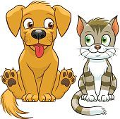 hund und katze
