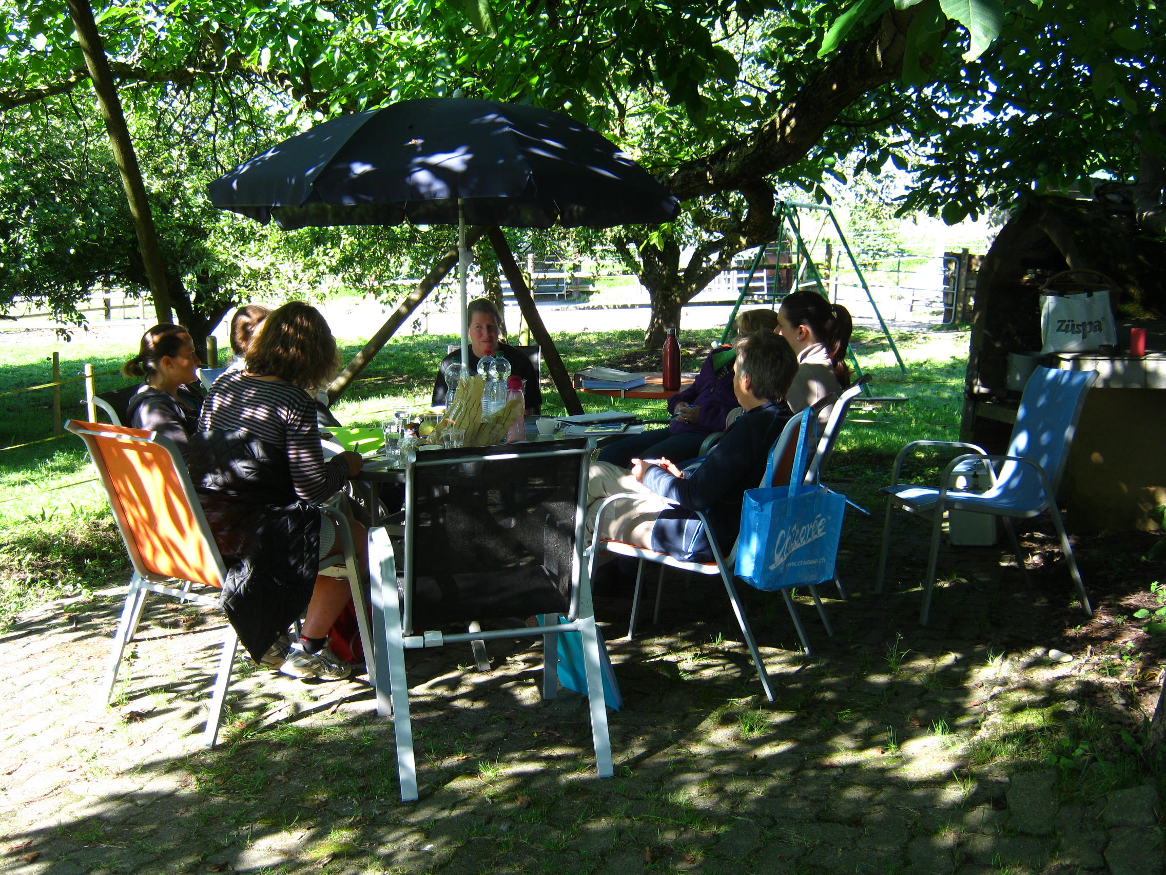 Neuer Einsteigerkurs Heilströmen am Pferd